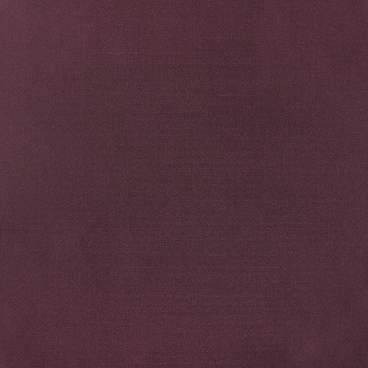 8403-raquel-violet-pindler