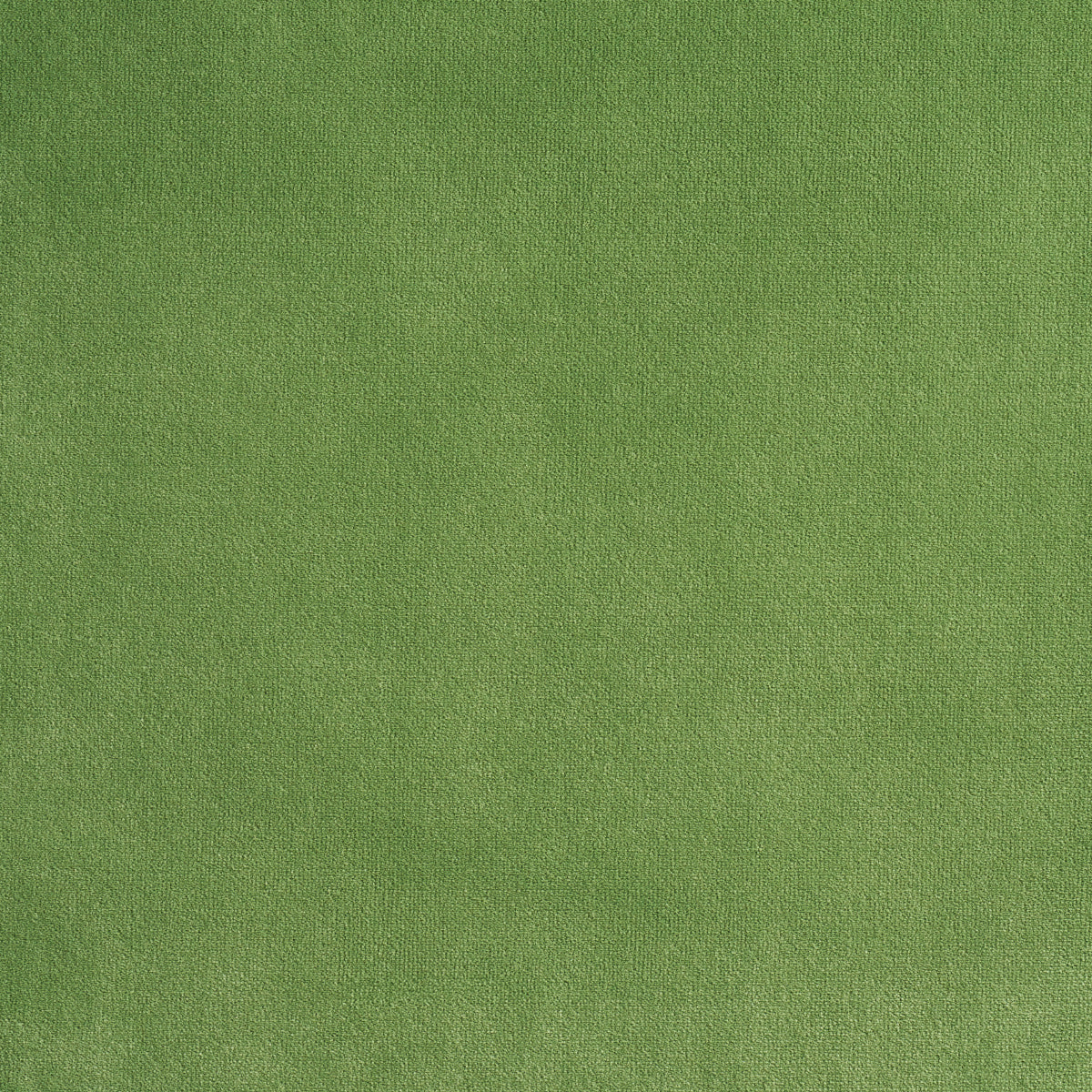 ALISTAIR-INDOOR-OUTDOOR-VELVET-GRASS-SCHUMACHER-84130 - Schumacher Fabric