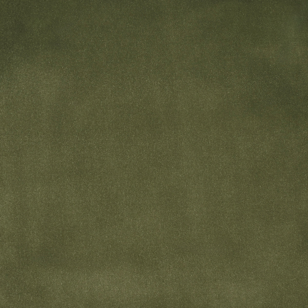 ALISTAIR-INDOOR-OUTDOOR-VELVET-OLIVE-SCHUMACHER-84131 - Schumacher Fabric
