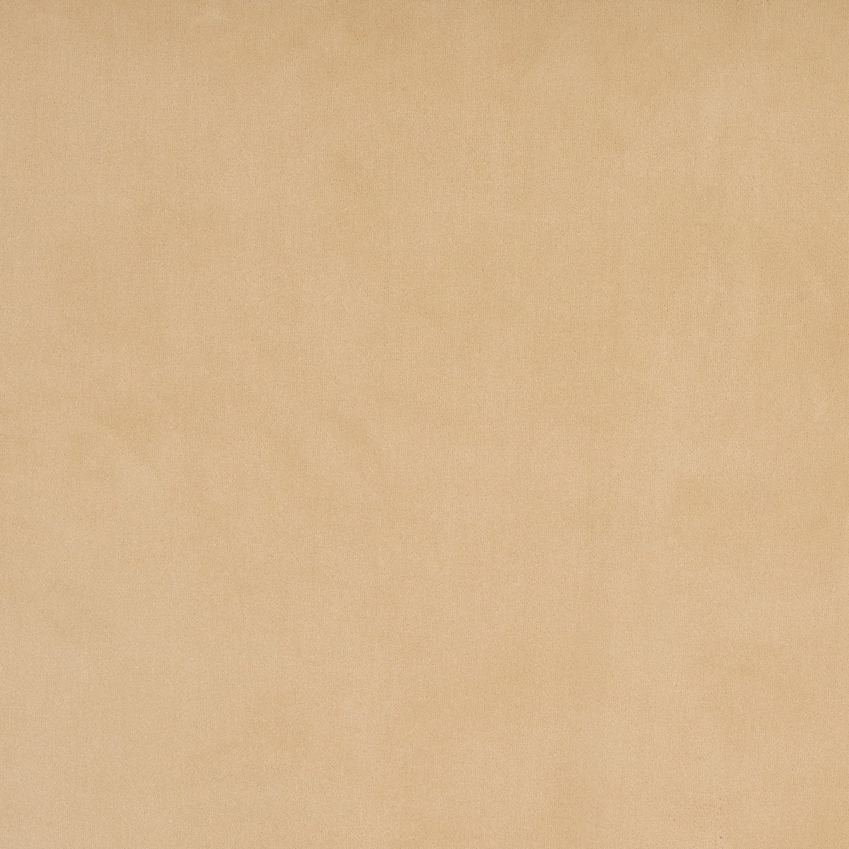 ALISTAIR-INDOOR-OUTDOOR-VELVET-BEIGE-SCHUMACHER-84132 - Schumacher Fabric