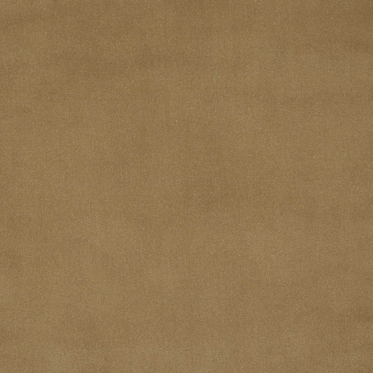 ALISTAIR-INDOOR-OUTDOOR-VELVET-SAND-SCHUMACHER-84133 - Schumacher Fabric