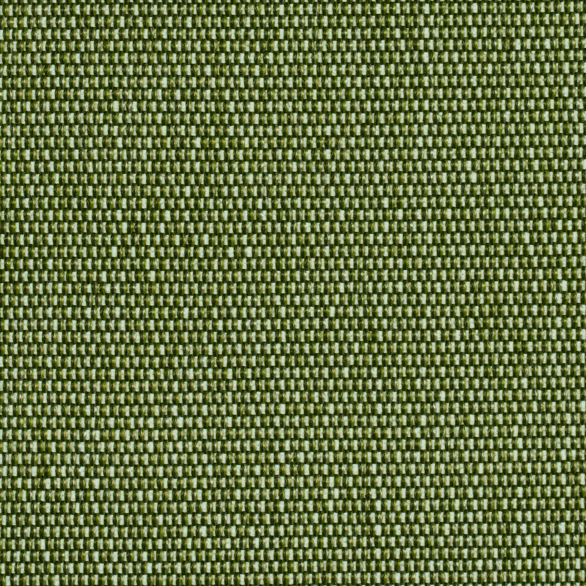 COOPER-INDOOR-OUTDOOR-GREEN-SCHUMACHER-84140 - Schumacher Fabric