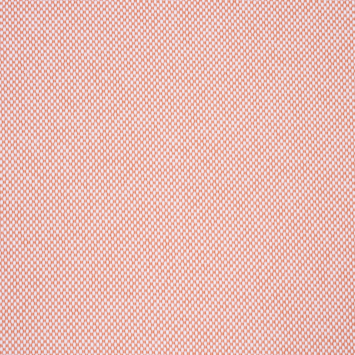 Pippa Indoor/Outdoor - Petal - Schumacher 84170 Fabric - Schumacher Fabric