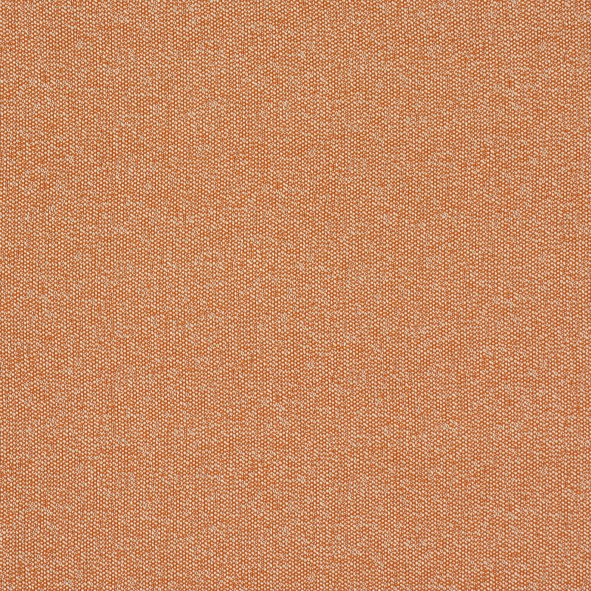 GUS-INDOOR-OUTDOOR-ORANGE-SCHUMACHER-84340 - Schumacher Tela