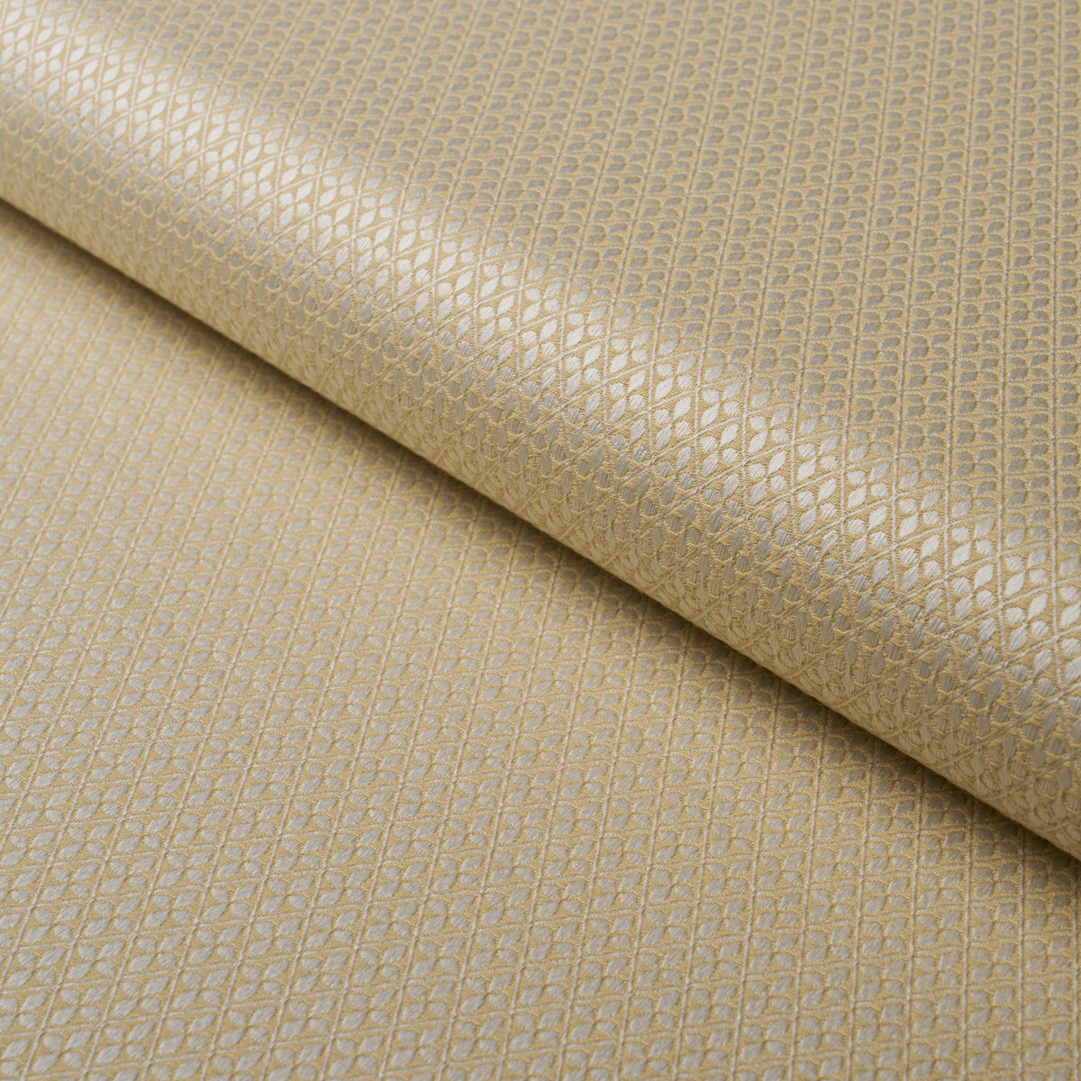 Adams Damask - Neutral - Schumacher 87081 Fabric - Schumacher Fabric