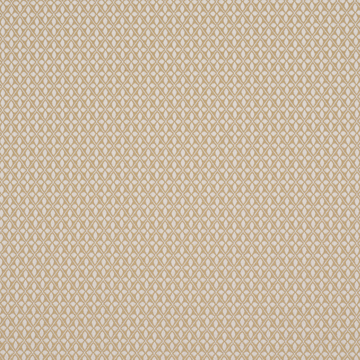 Adams Damask - Neutral - Schumacher 87081 Fabric - Schumacher Fabric