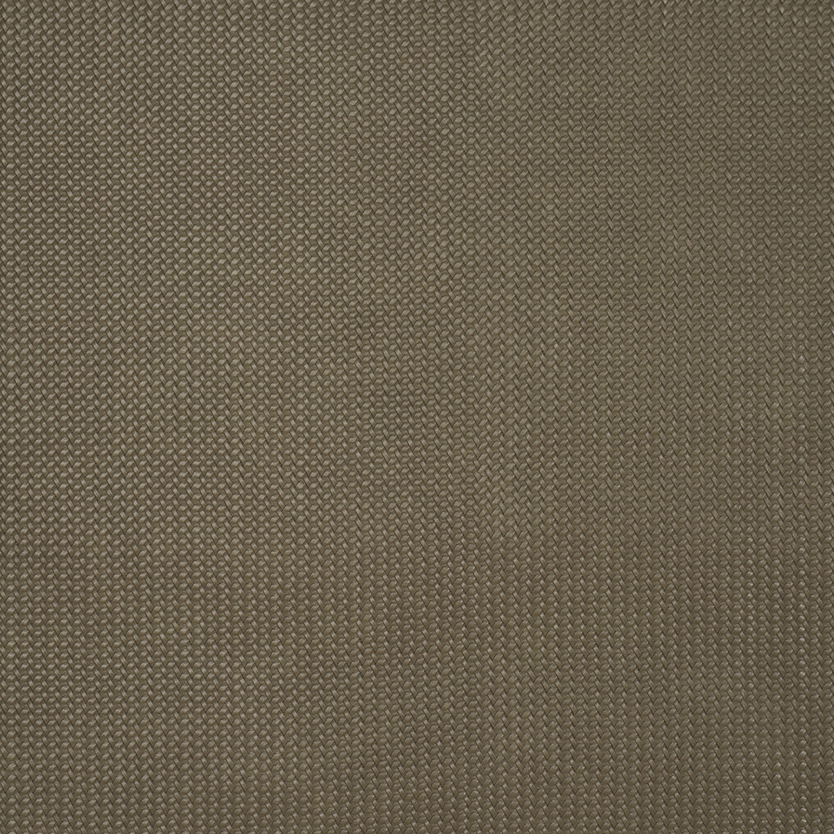 Vegan Leather Rattan Indoor/Outdoor - Ash - Schumacher 87802 Fabric - Schumacher Fabric