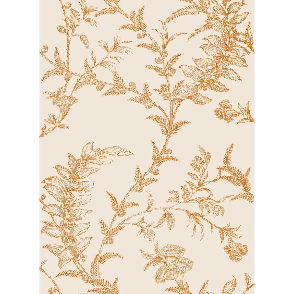 Ludlow - Peach - COLE & SON Wallpaper