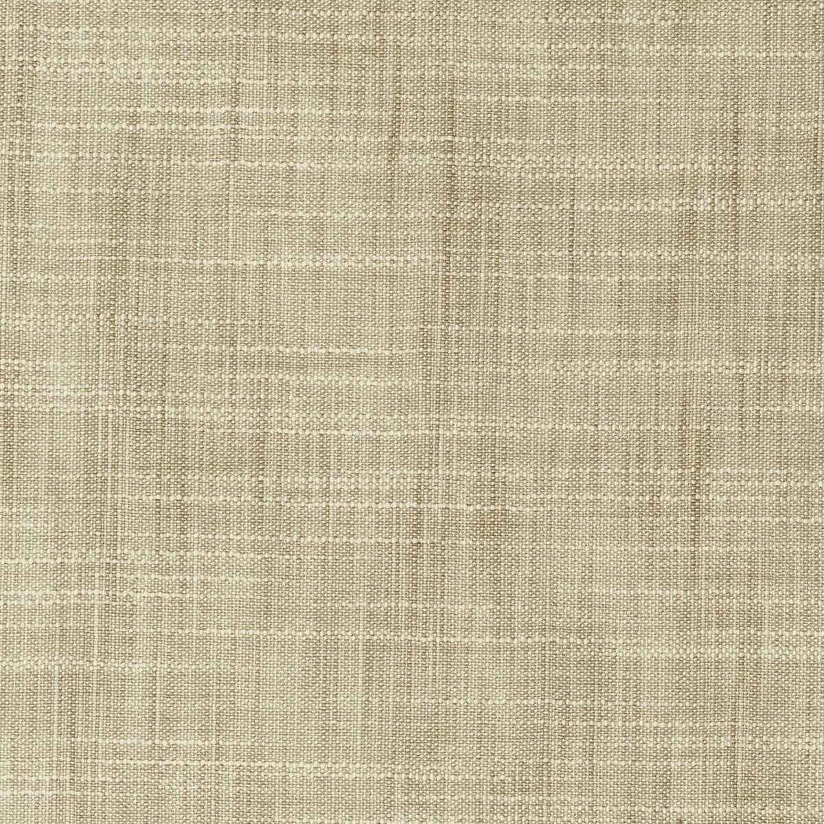 881310110 Kravet Basics 8813 1011 Kravet Basics Fabric