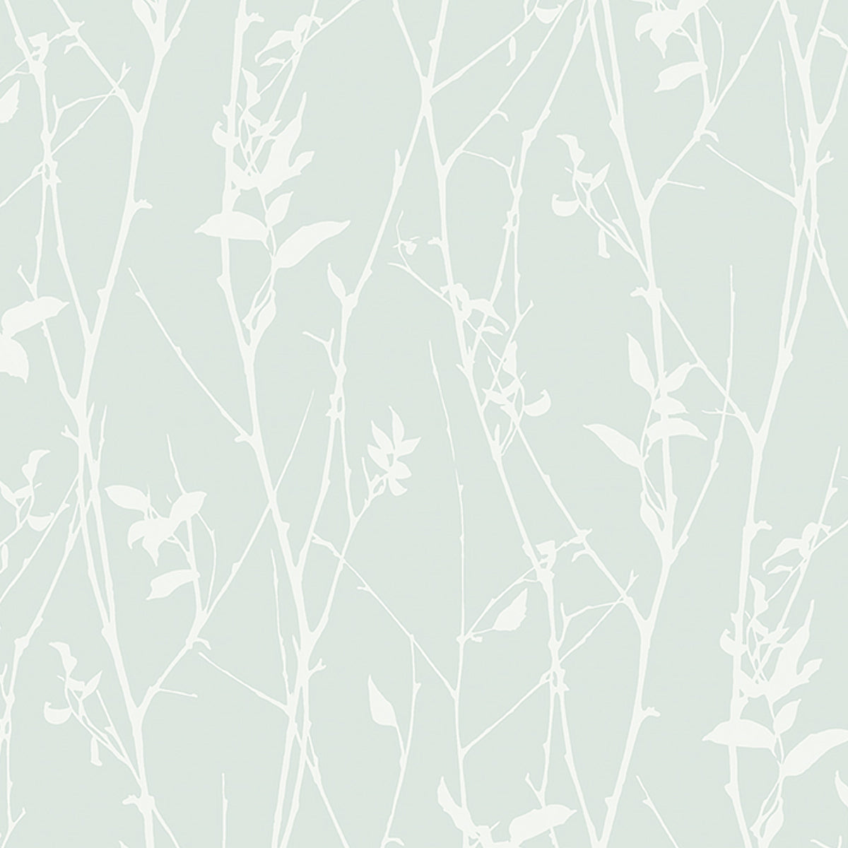 BOTANICAL-WHISP-MINERAL-SCHUMACHER-9320
