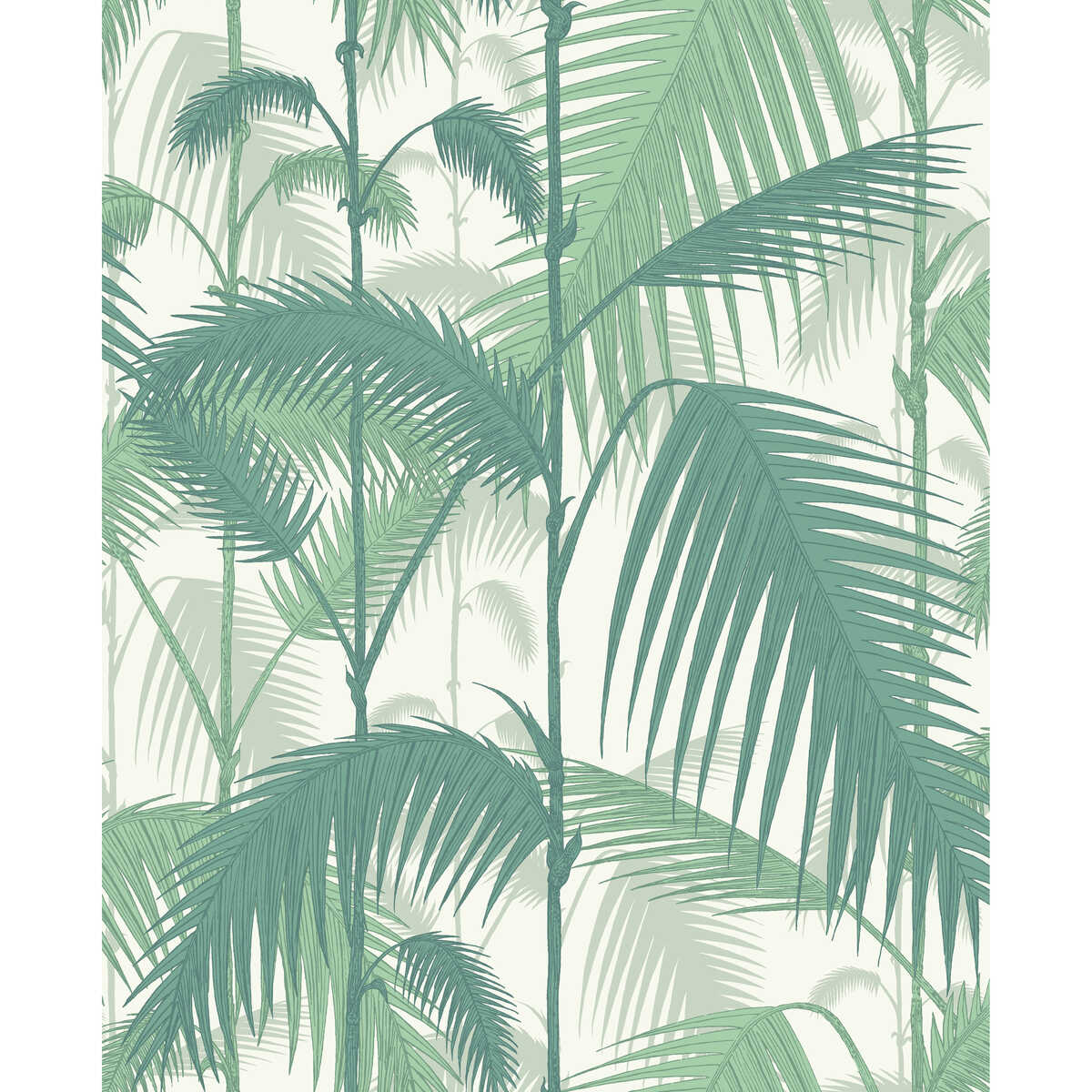 Palm Jungle - Forest Gre/W - COLE & SON Wallpaper