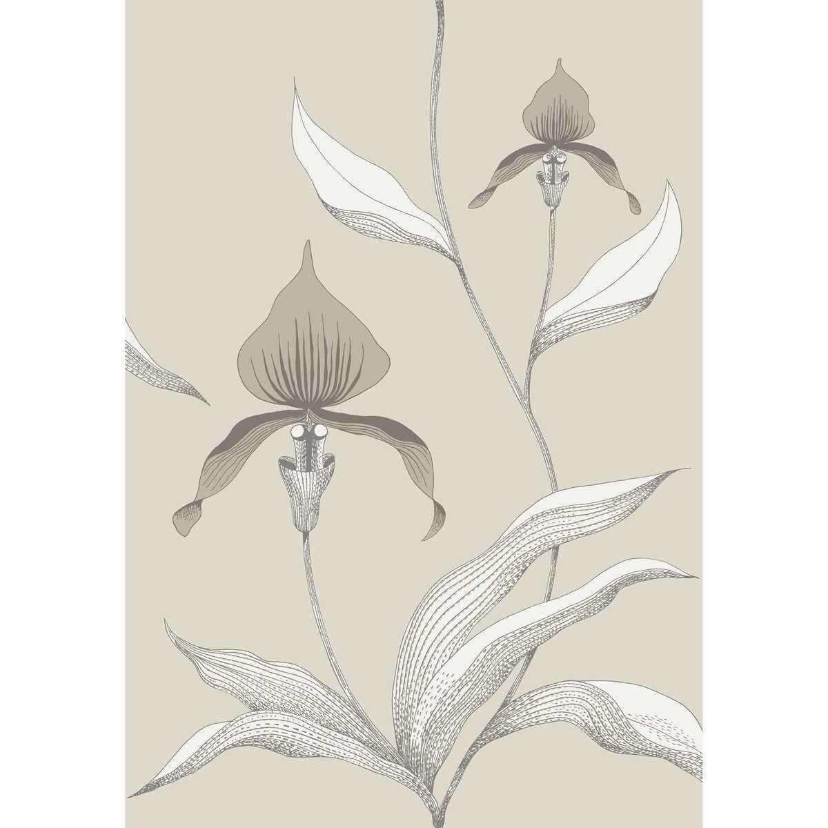 9510058cs0 Orchid Linen White Cole Son Wallpaper