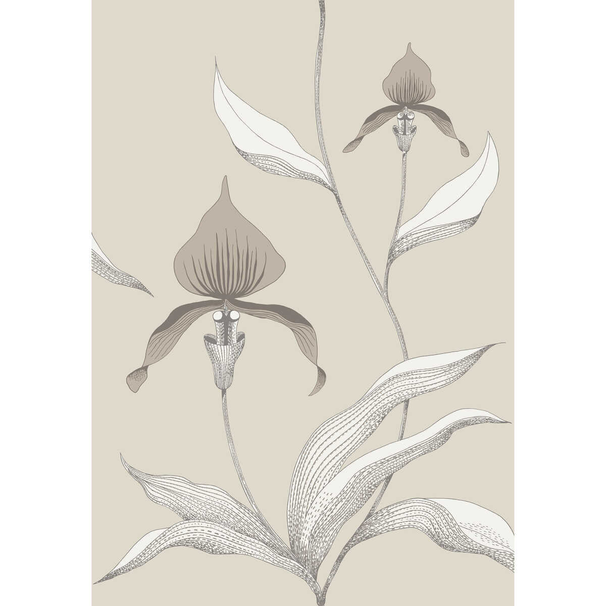 Orchid - Linen/White - COLE & SON Wallpaper