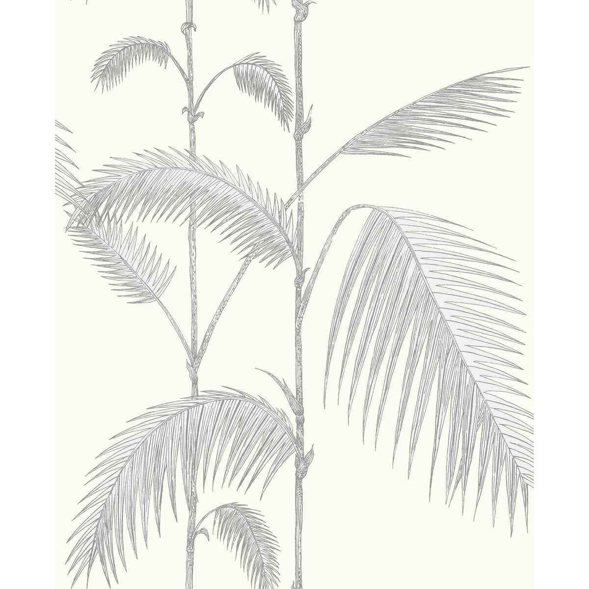 951008cs0 Palm Leaves Grey White Cole Son Wallpaper