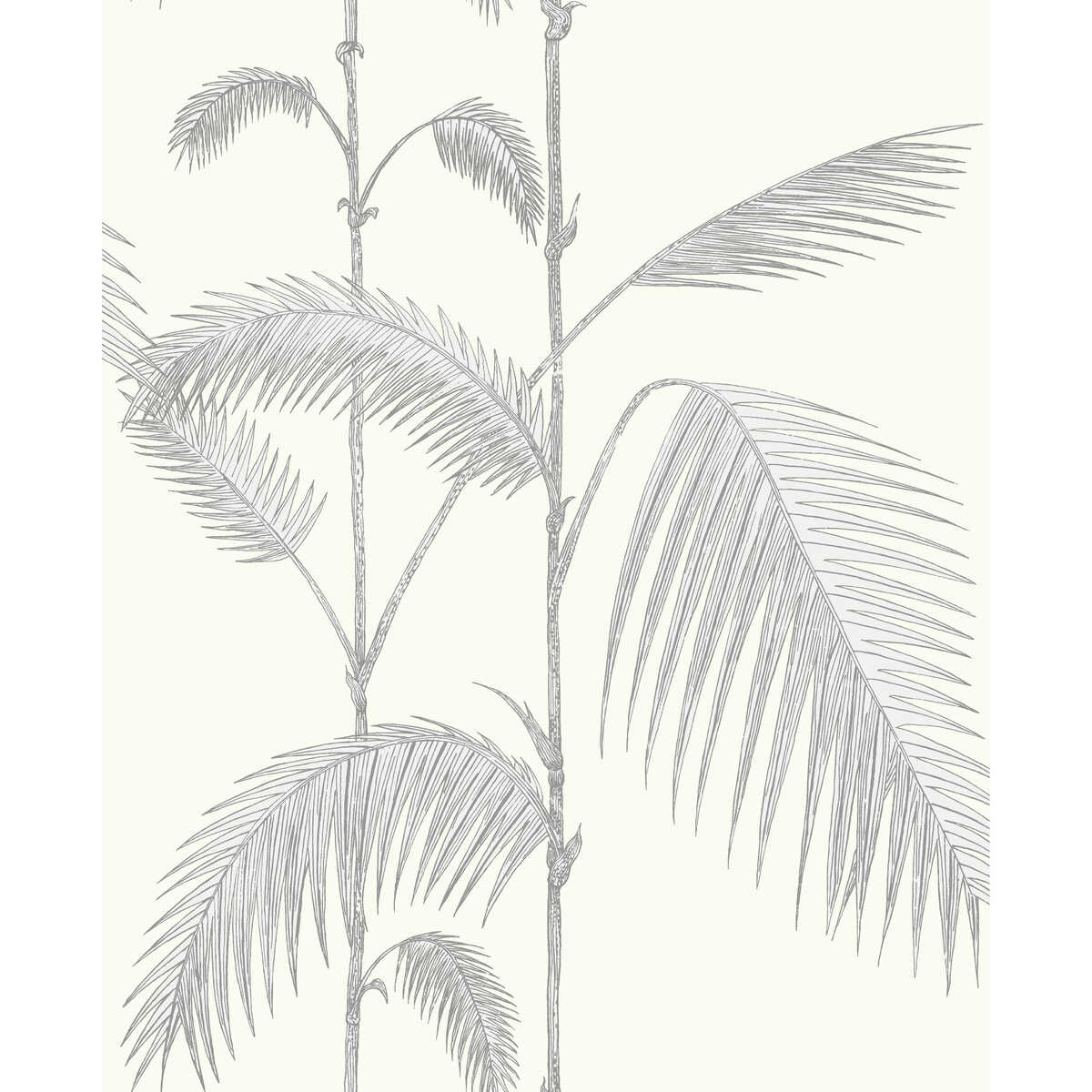 Palm Leaves - Grey/White - COLE & SON Wallpaper