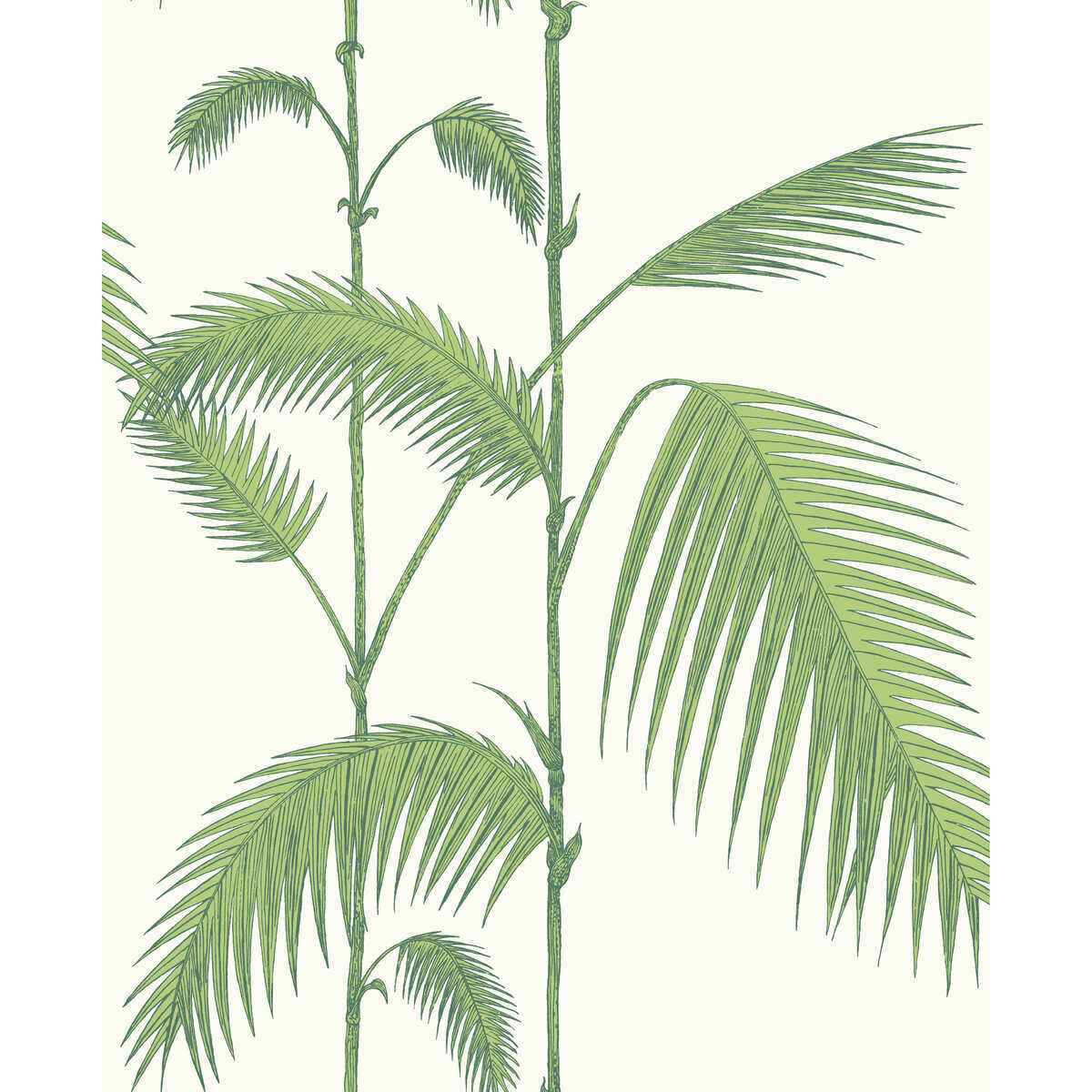 951009cs0 Palm Leaves Green White Cole Son Wallpaper