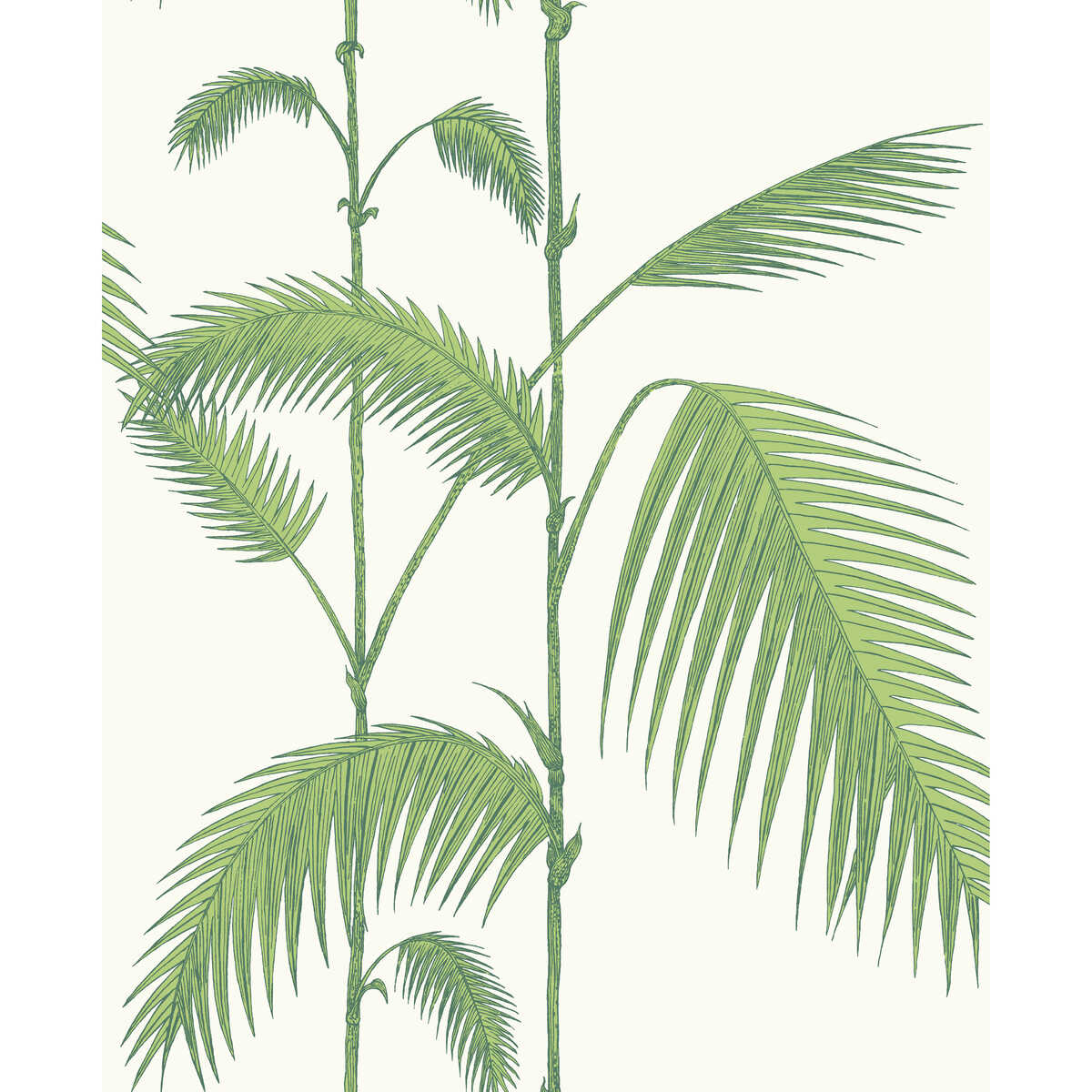 Palm Leaves - Green/White - COLE & SON Wallpaper