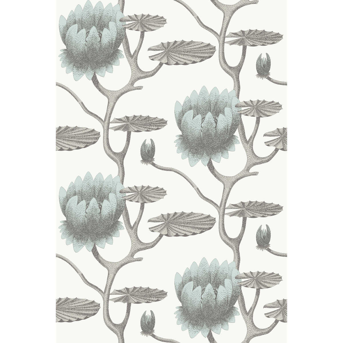 Summer Lily - Aqua/White - COLE & SON Wallpaper