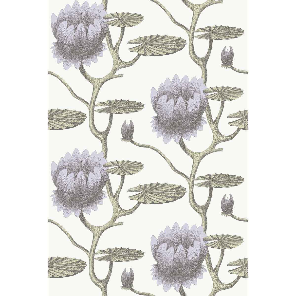 954023cs0 Summer Lily Lilac Grn Wt Cole Son Wallpaper