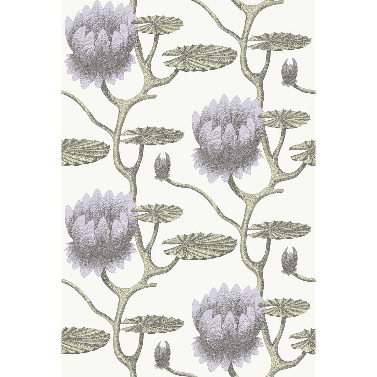 Summer Lily - Lilac/Grn/Wt - COLE & SON Wallpaper