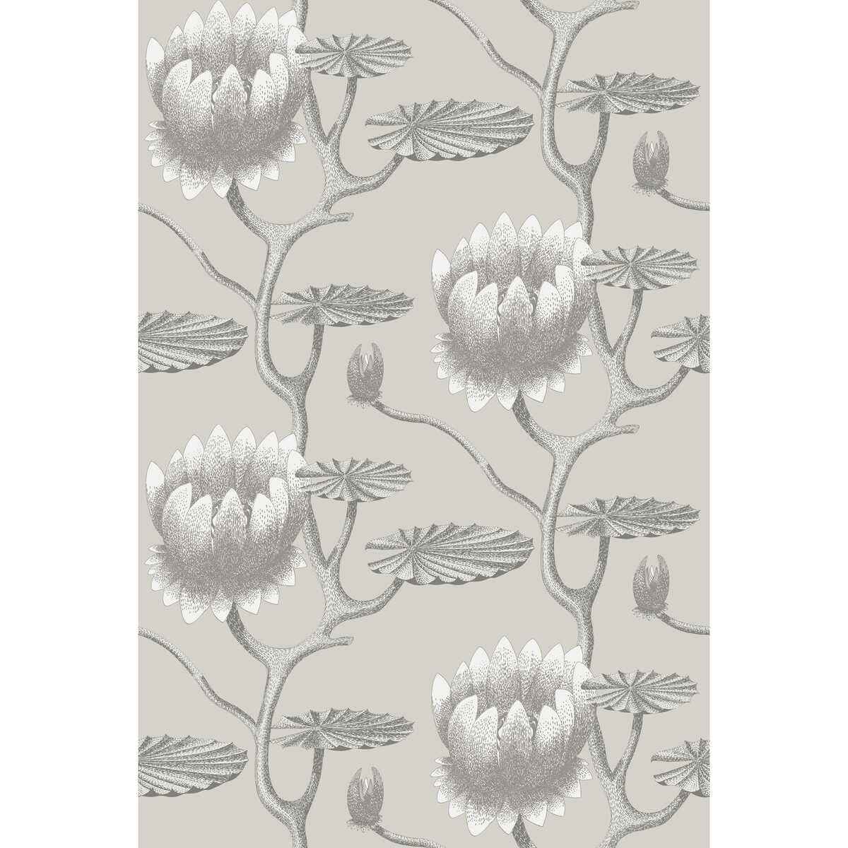 954025cs0 Summer Lily Taupe White Cole Son Wallpaper