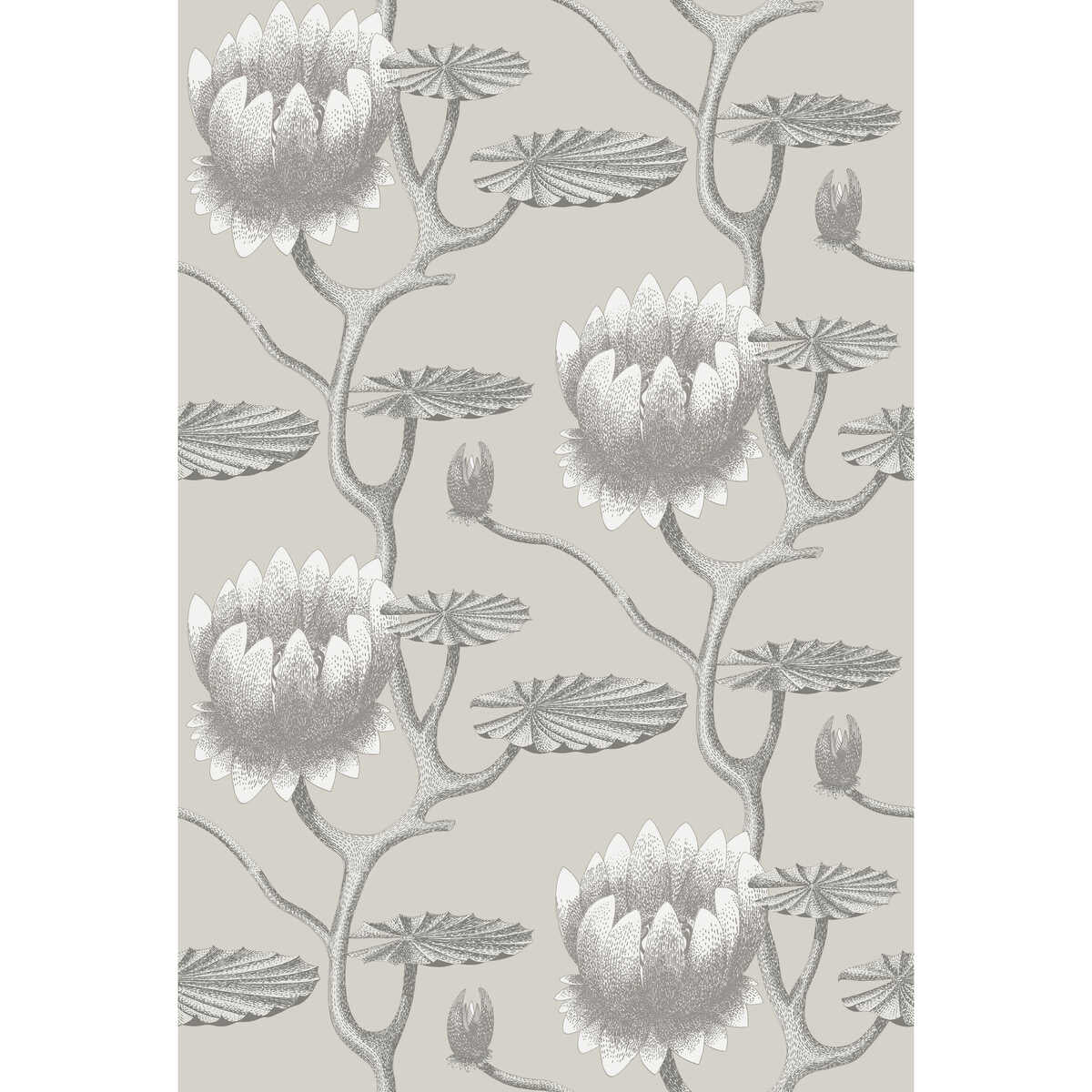 Summer Lily - Taupe/White - COLE & SON Wallpaper