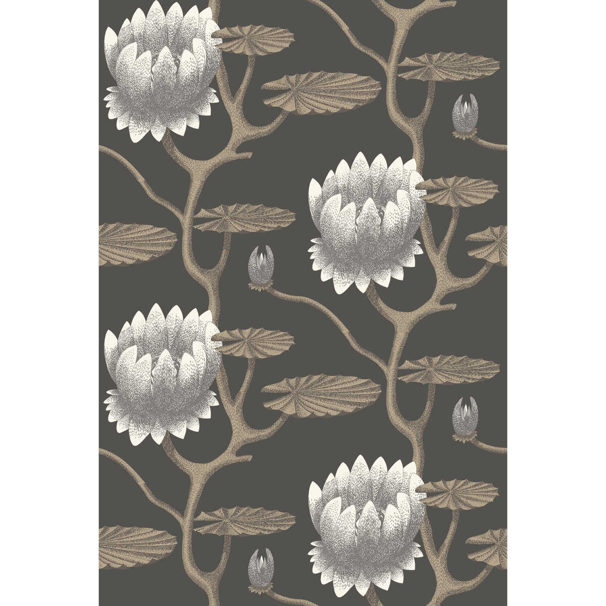 Summer Lily - Blk/Wht/Gold - COLE & SON Wallpaper