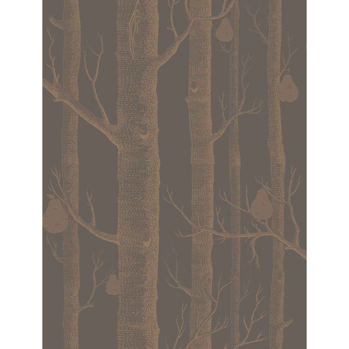 955028cs0 Woods Pears Bronze Black Cole Son Wallpaper