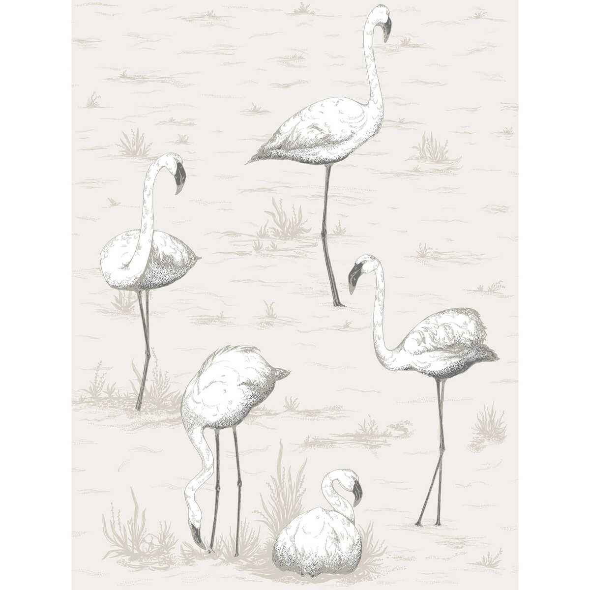 958046cs0 Flamingos Charcoal Wht Cole Son Wallpaper