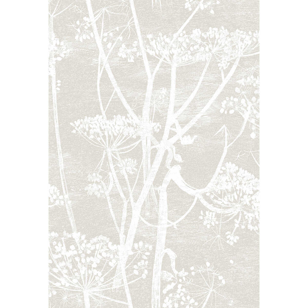 Cow Parsley - Linen/White - COLE & SON Wallpaper