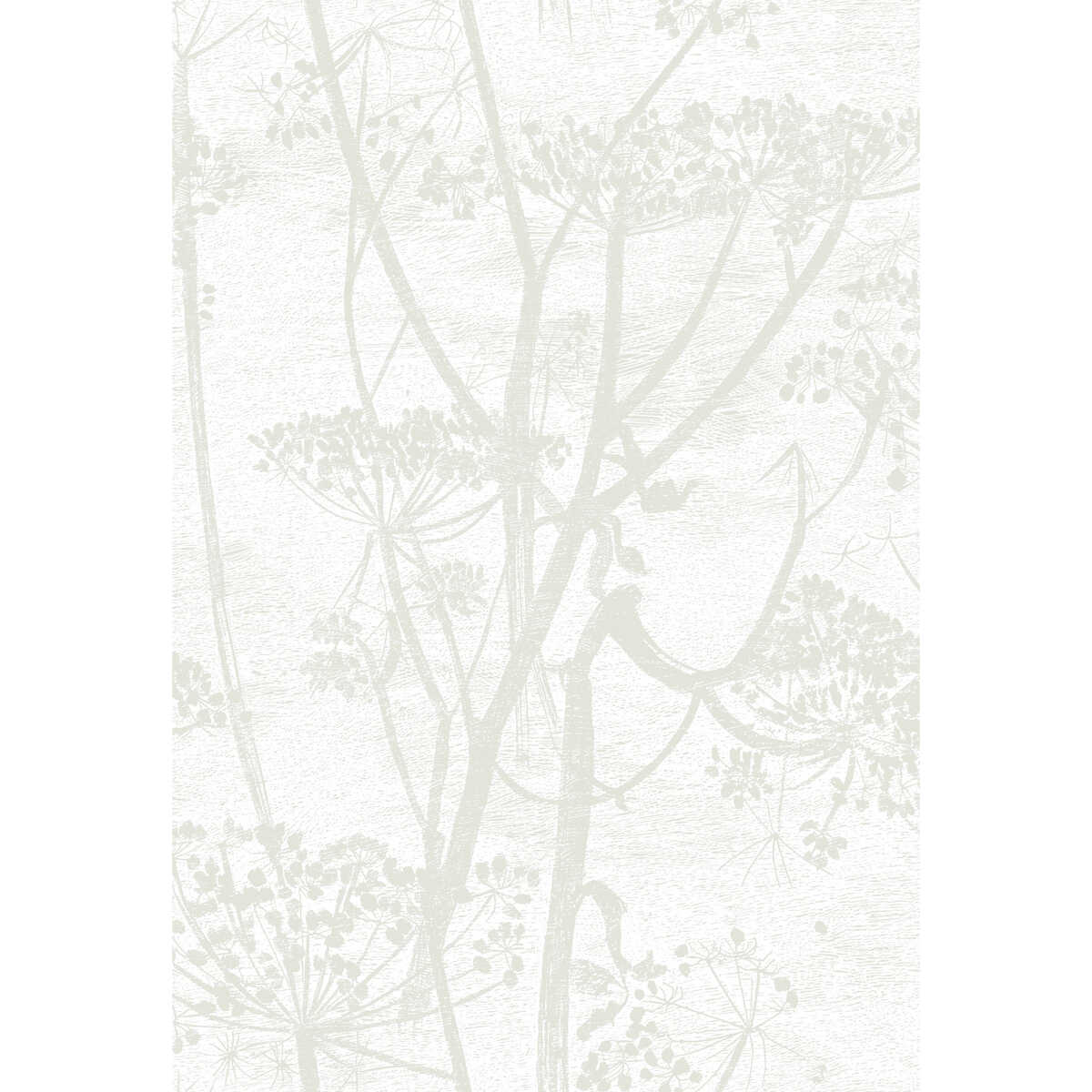 Cow Parsley - White - COLE & SON Papel pintado