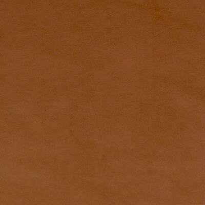 Ultimate Suede - Aztec - Lee Jofa Fabric