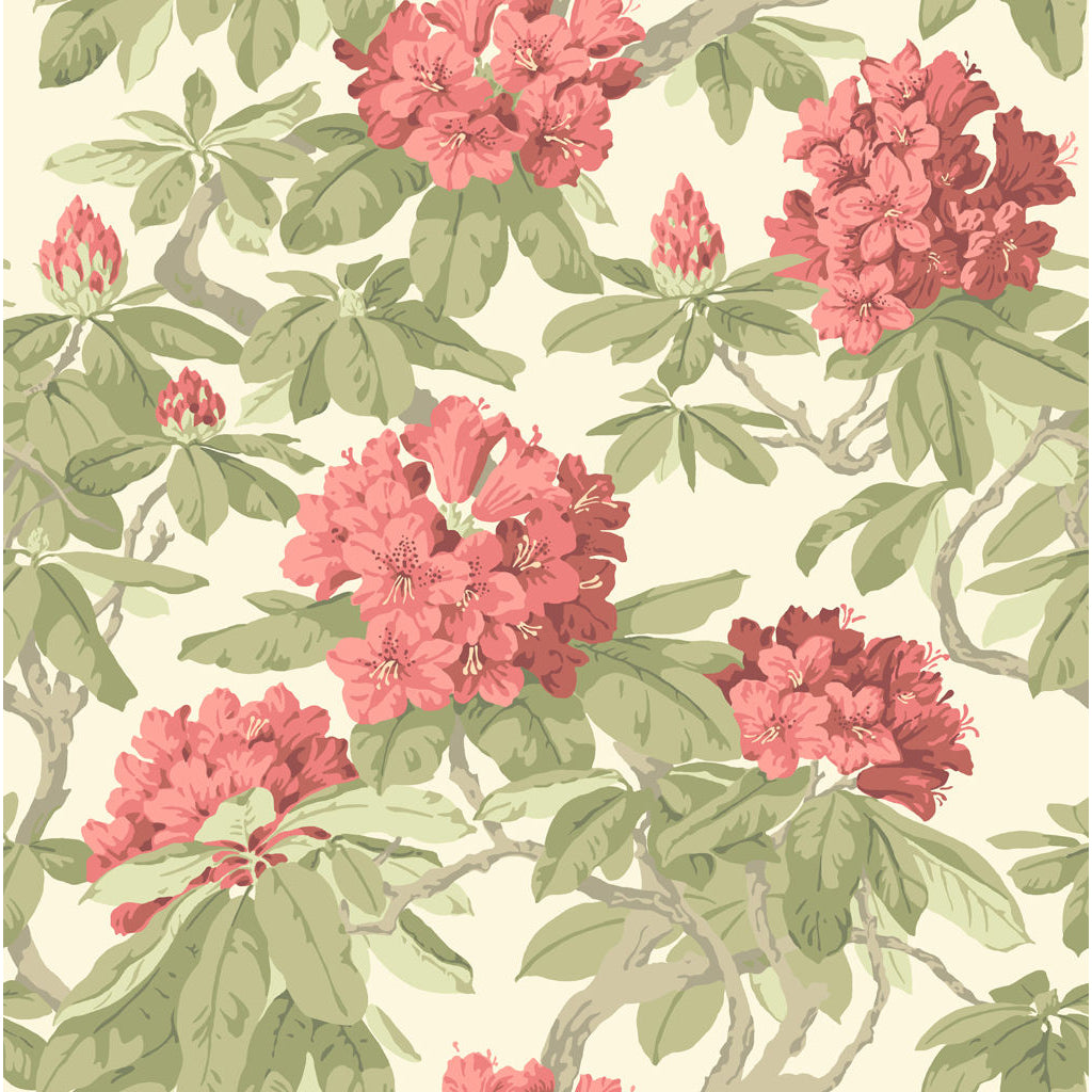 Bourlie - Coral - Cole & Son Wallpaper