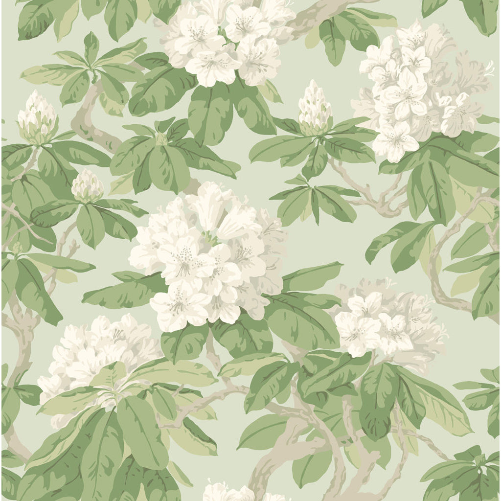 Bourlie - Duck Egg - Cole & Son Wallpaper