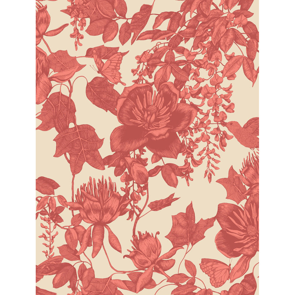 Tivoli - Coral - Cole & Son Wallpaper