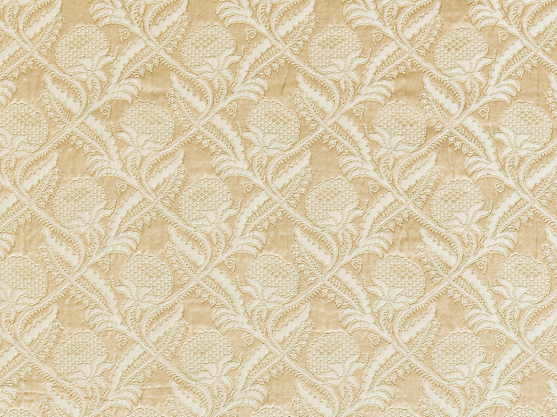 Droguet Lampas - Beige