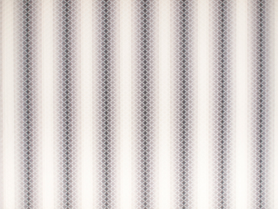 Pisana - Shadow - Scalamandre Fabric