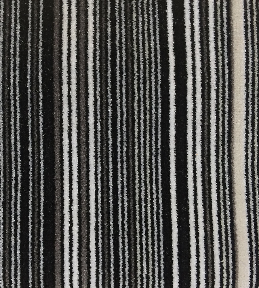 Pinstripe Velvet - Black & White