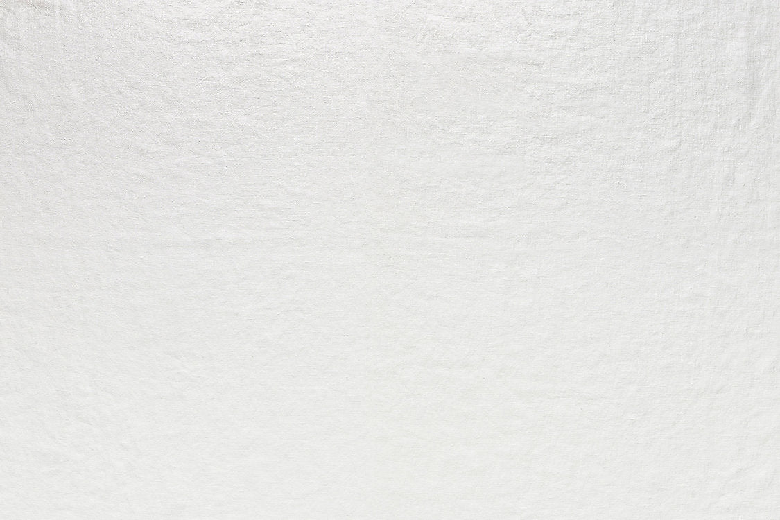 Specialist Fr - Off-White Linen - Scalamandre Fabric