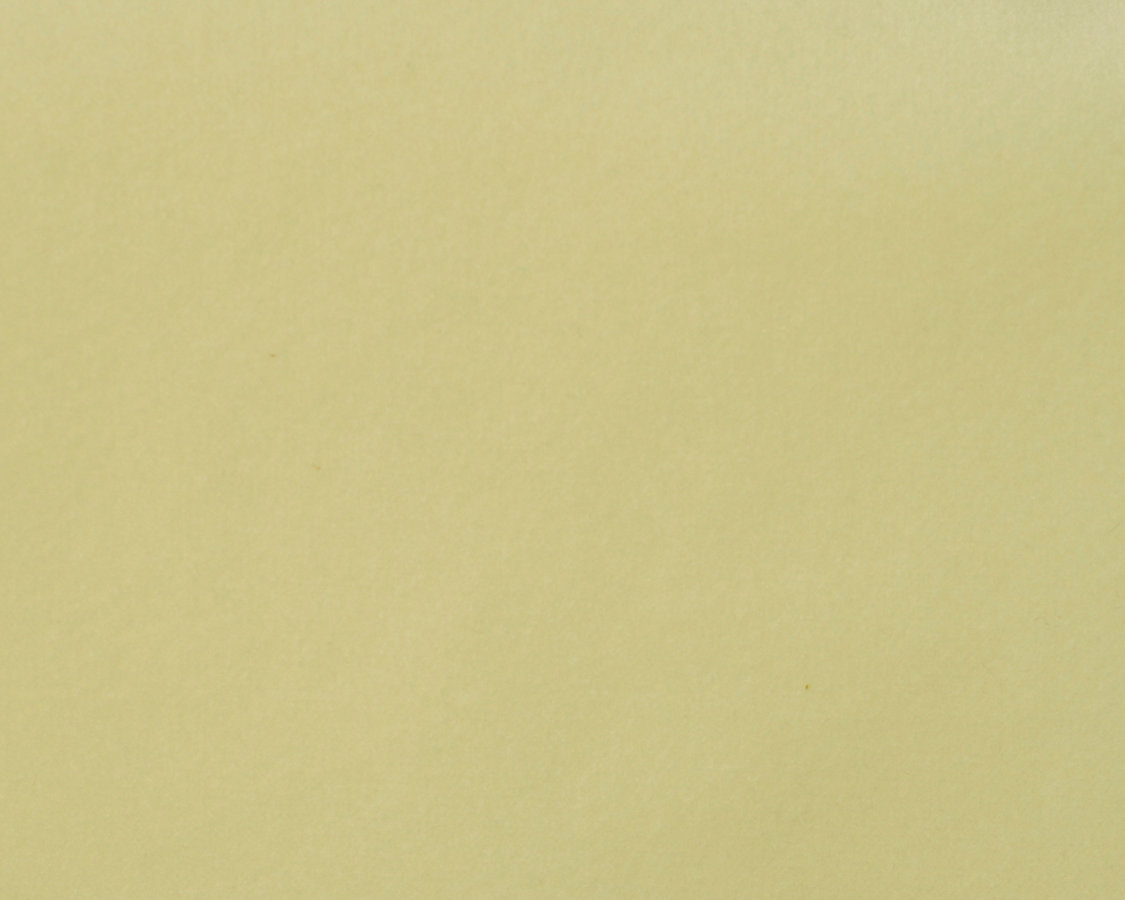 Safety Velvet - Vanilla - Scalamandre Fabric