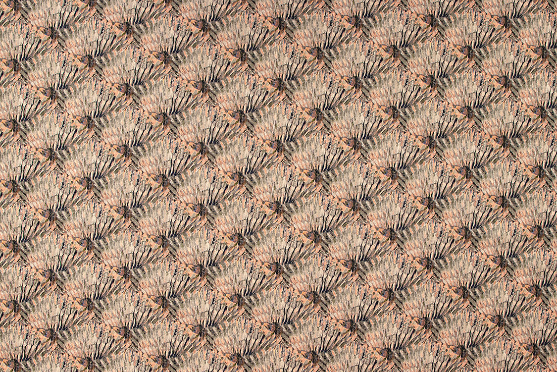 Guilty - Coral Feathers - Scalamandre Fabric