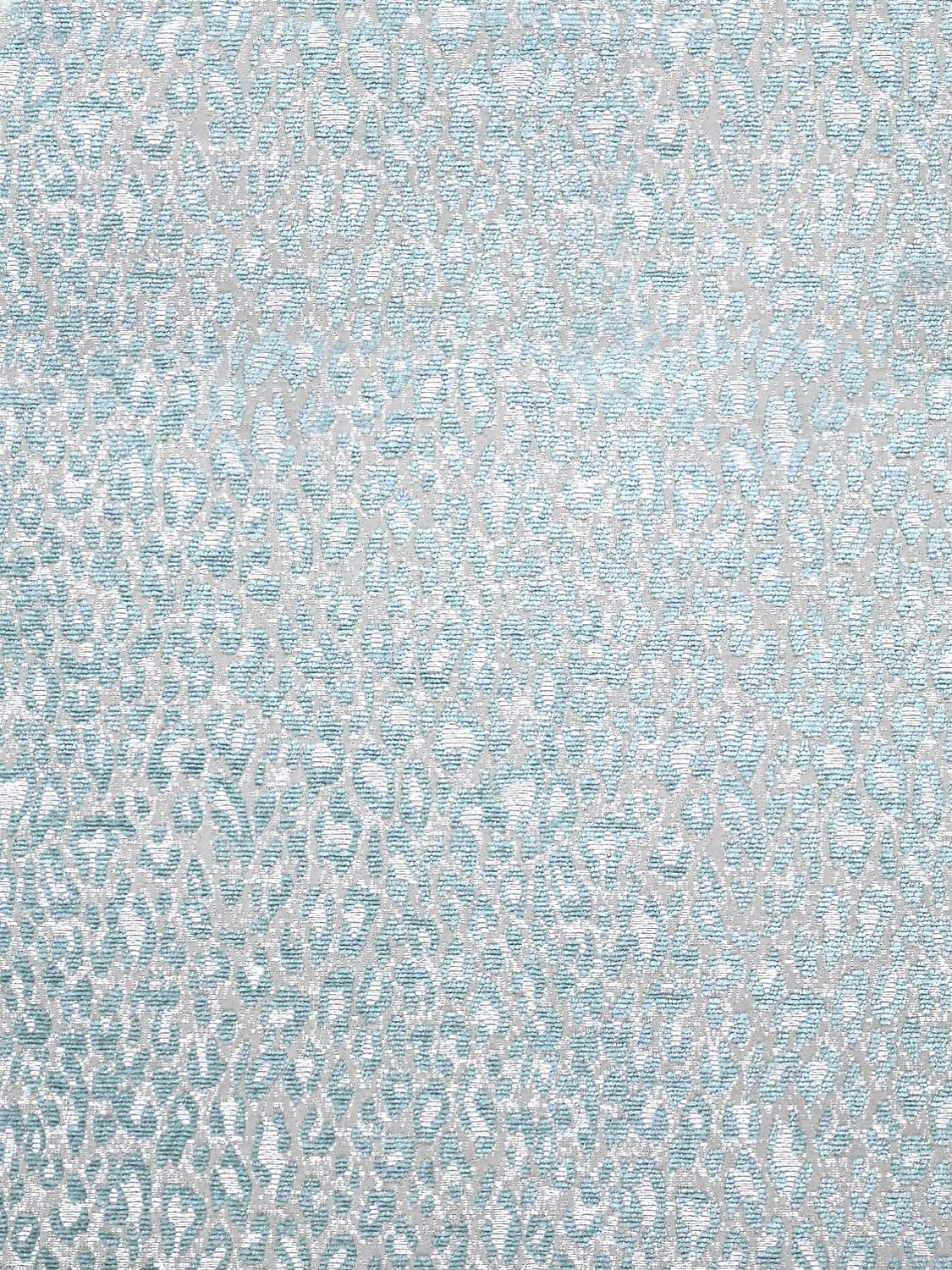 Leopard - Aqua Harbor