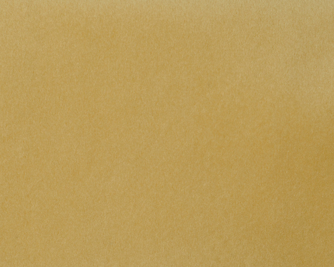Safety Velvet - Nude Cream - Scalamandre Fabric