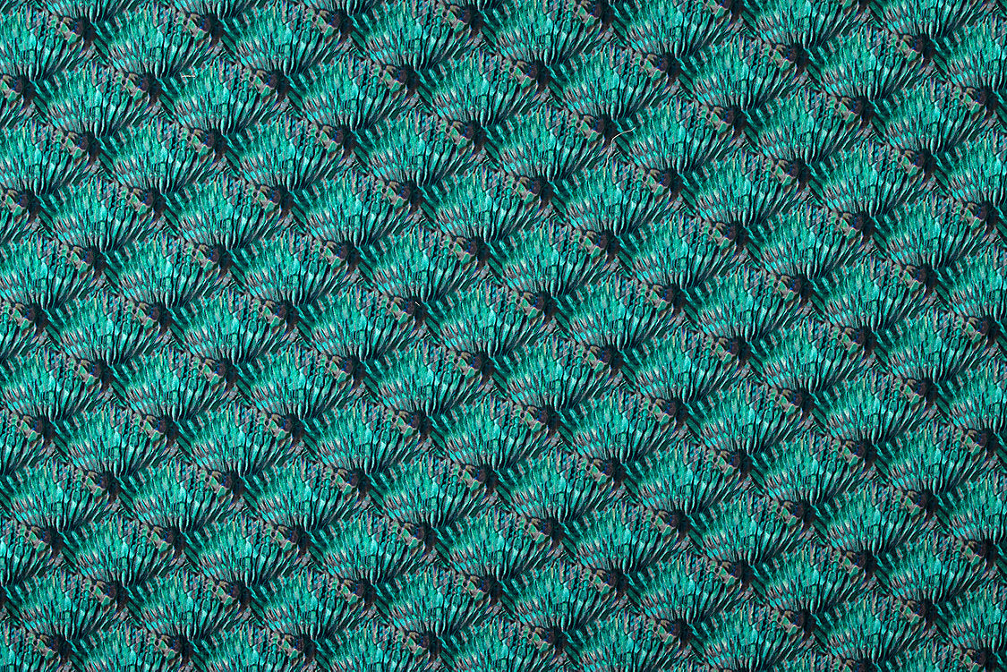Guilty - Peacock Blue - Scalamandre Fabric