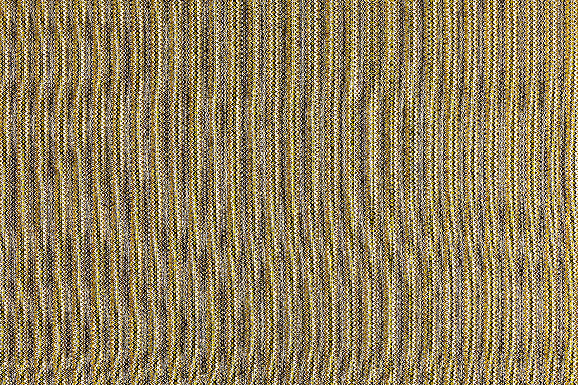 Carvalhal - Little Miss Sunshine - Scalamandre Fabric