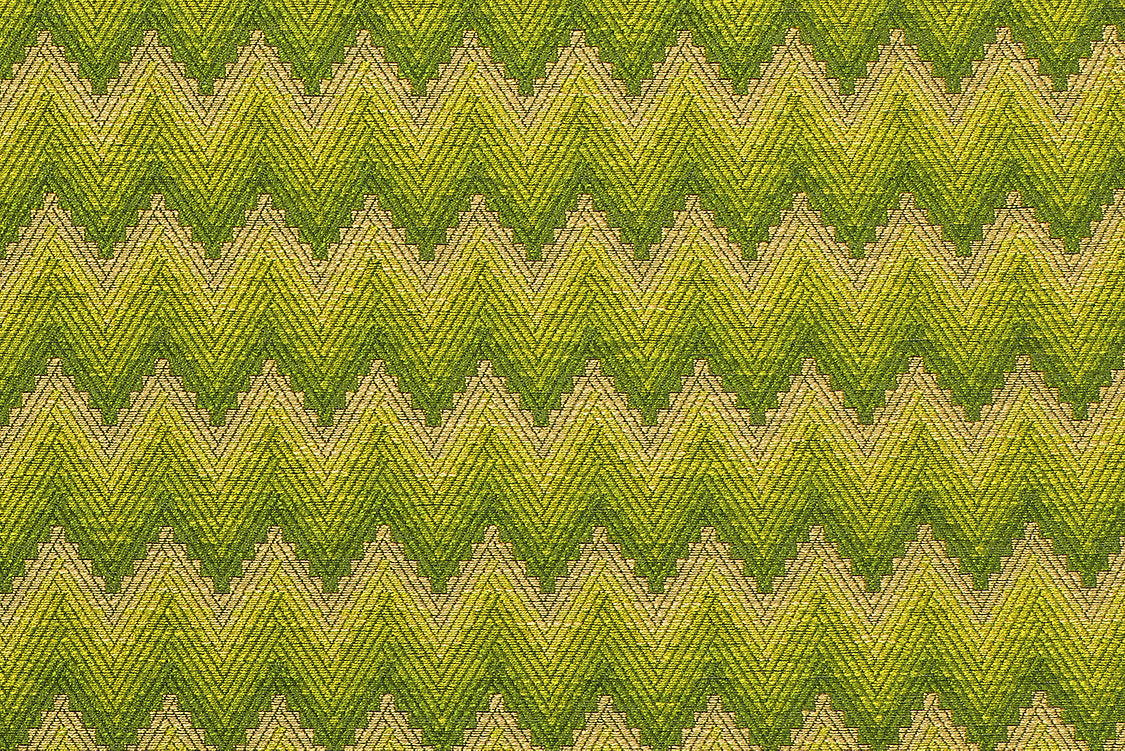 Blossom - Amazon Green - Scalamandre Fabric