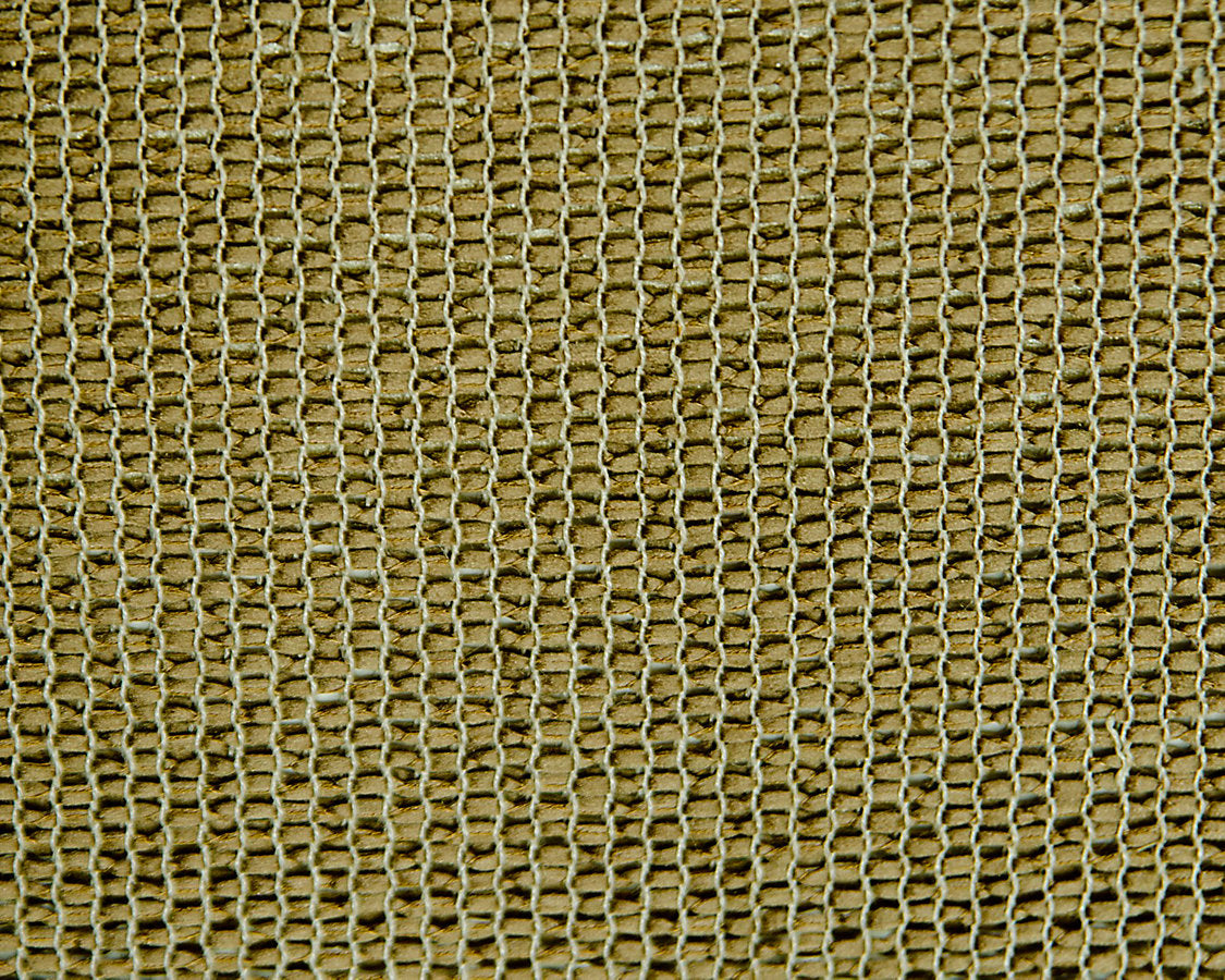Share - Caramel - Scalamandre Fabric