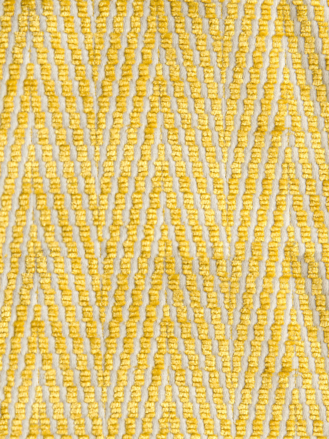 Halfie - Misted Yellow - Scalamandre Fabric
