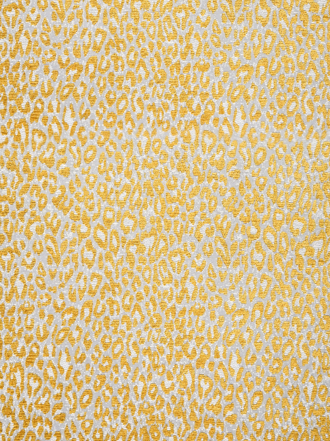 Leopard - Misted Yellow