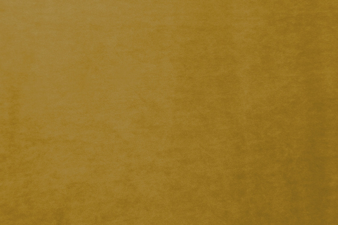 Project Water Repellent - Golden Olive